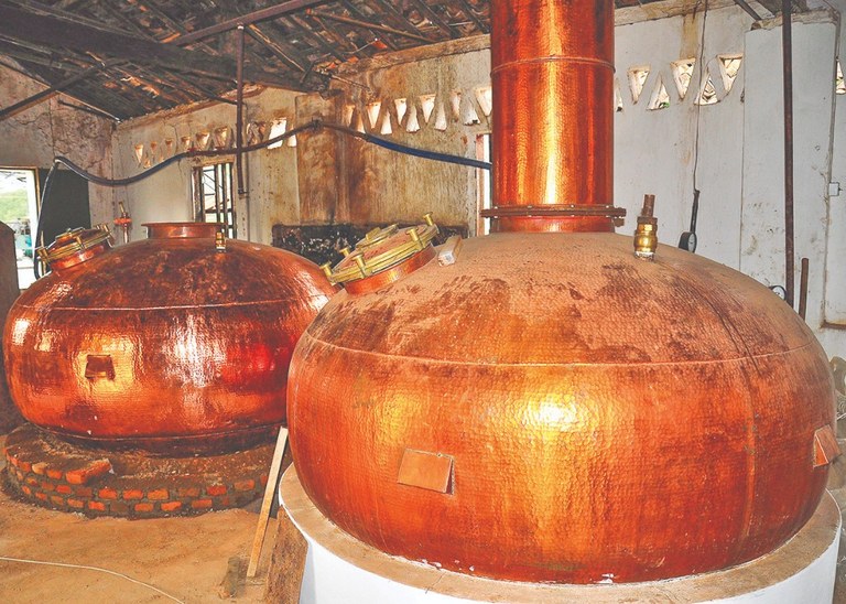 cachaça © roberto guedes (7).JPG