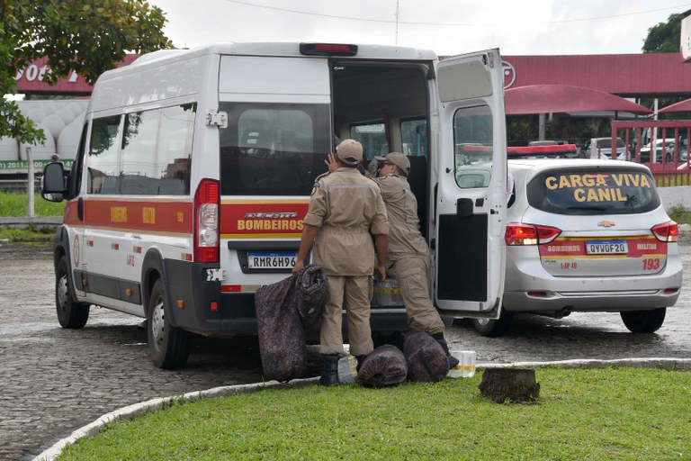 ambulancia.jpg