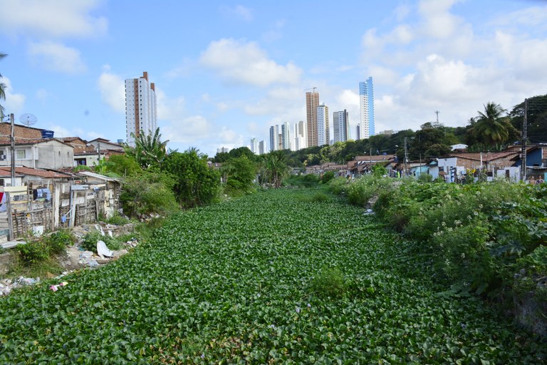 20200928_rio jaguaribe © roberto guedes (15).JPG