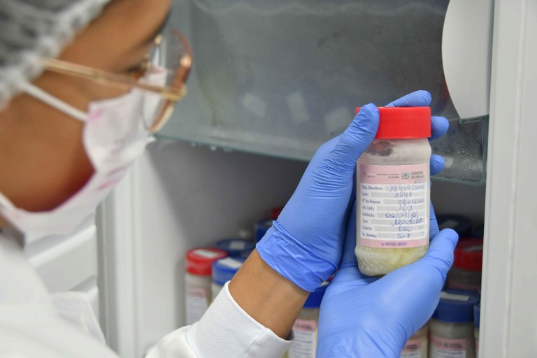 2026.04.16 Banco de leite humano Anita Cabral © Leonardo Ariel (8).JPG