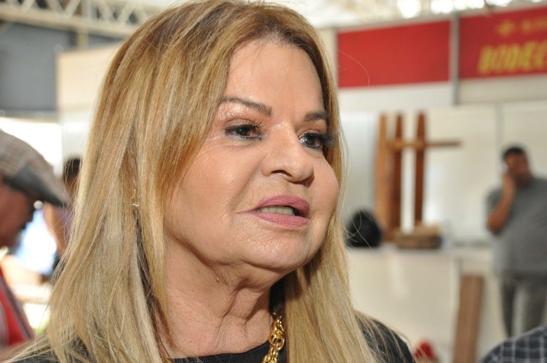 coletiva_salao_artesanato_ana_maria_cg_fabiana_veloso.jpg