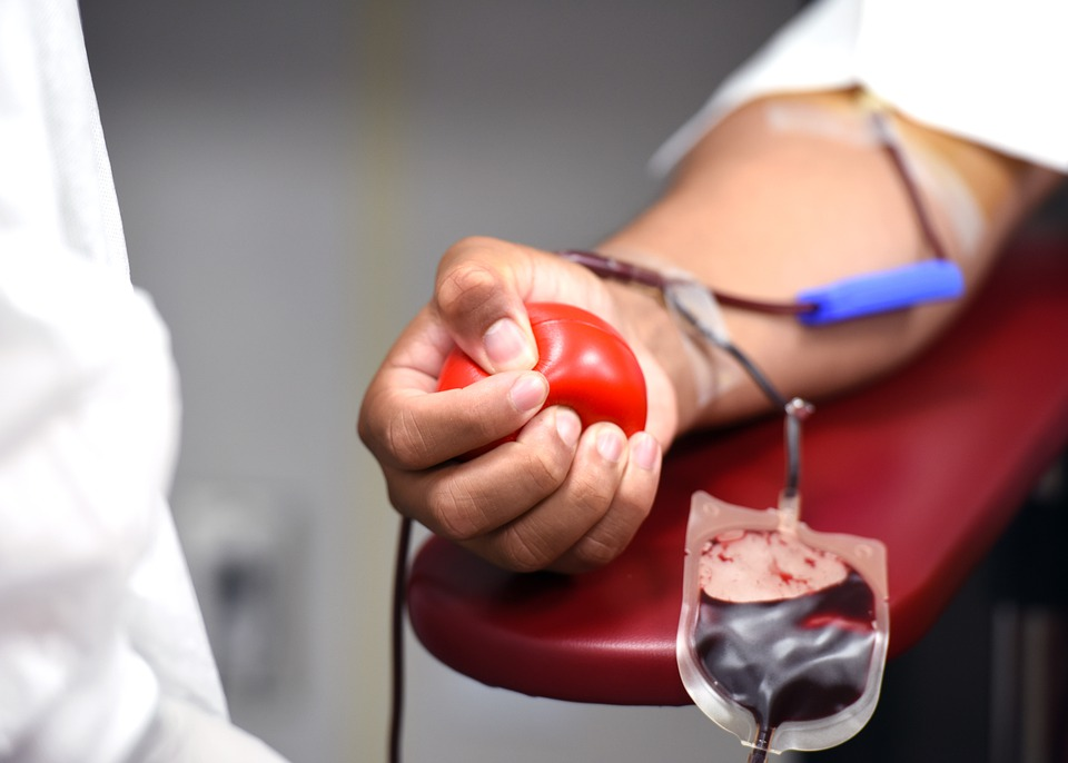 Doação de sangue2.png