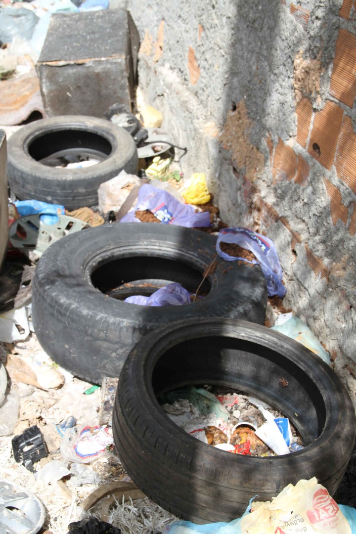 Arborvírose-Dengue_F. Evandro  (14).JPG