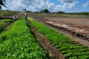 Agricultura © Divulgacao_Secom-PB (1).jpeg