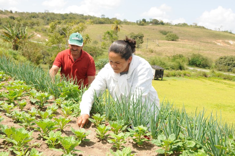 AGRICULTURA © José Marques SECOM PB.JPG AGRICULTURA © José Marques SECOM PB.JPG