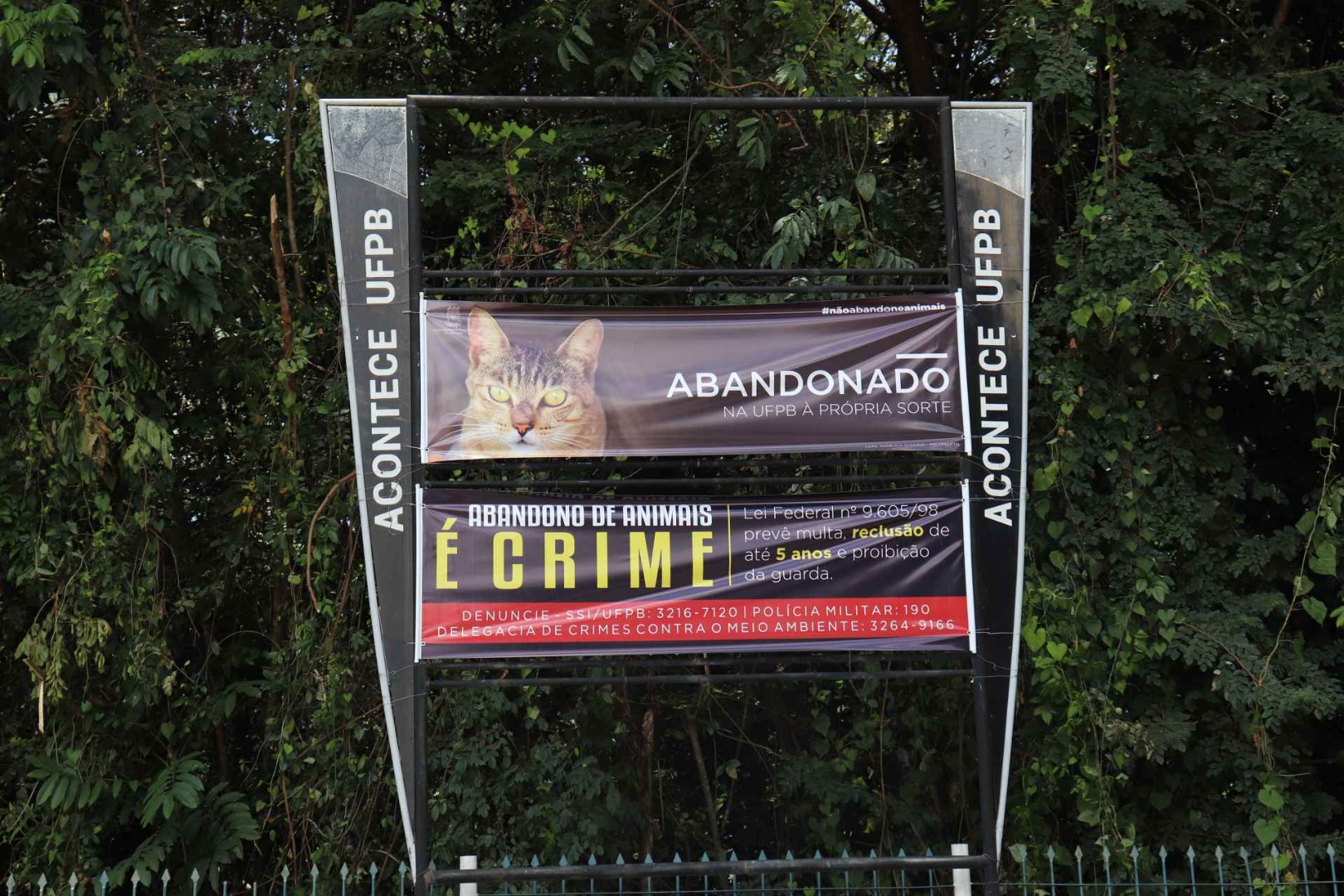CampanhacontraabandonodeanimaisnaUFPB09.10.2023FotoAnglicaGouveia26 (1).jpg