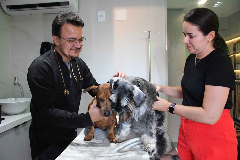 2023.12.01_pets calor © roberto guedes (233).jpg 2023.12.01_pets calor © roberto guedes (233).jpg