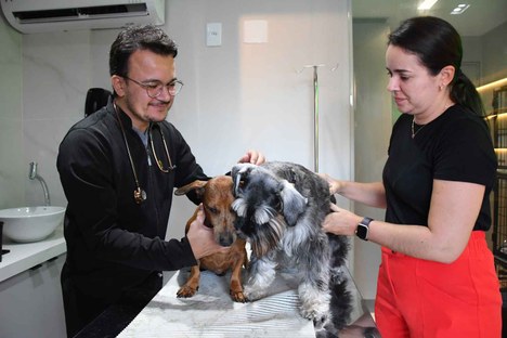2023.12.01_pets calor © roberto guedes (233).jpg