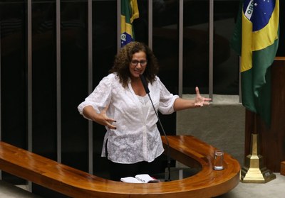 Jandira Feghali defende que Dilma entrou na Presidência pela "porta da frente com 54 milhões de votos"
