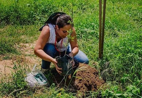 gira mundo professor projetos de educacao ambiental