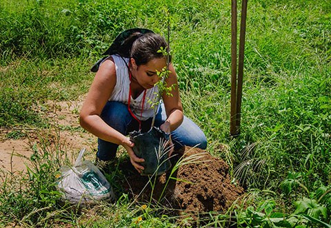 gira mundo professor projetos de educacao ambiental