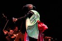 Bjork - Foto Santiago Felipe.jpg