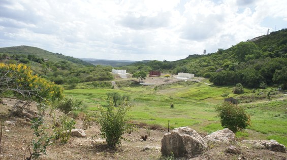 Cuité (Foto Teresa Duarte).JPG