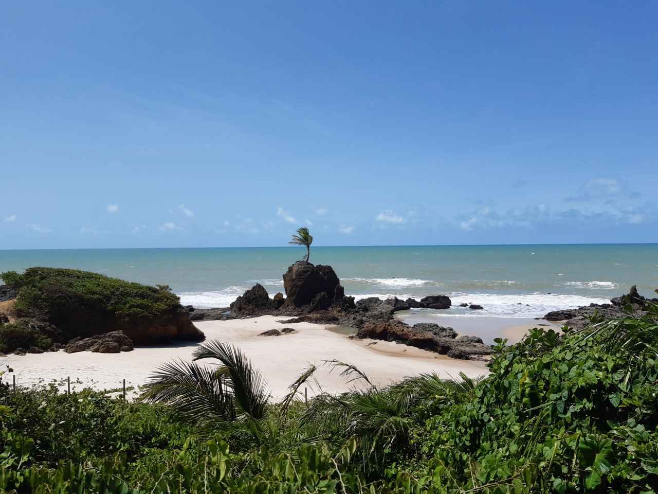 Conde (Foto Teresa Duarte).jpg