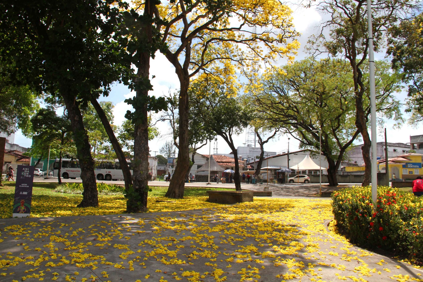 João-Pessoa-(Foto-Teresa-Duarte).jpg