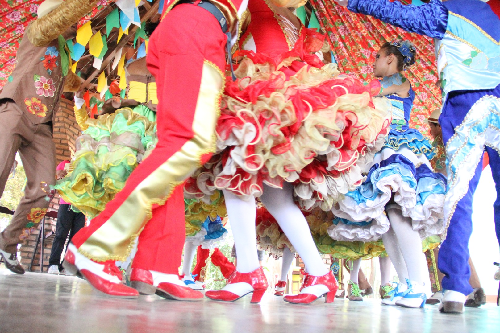 Bananeiras (foto Teresa Duarte).JPG
