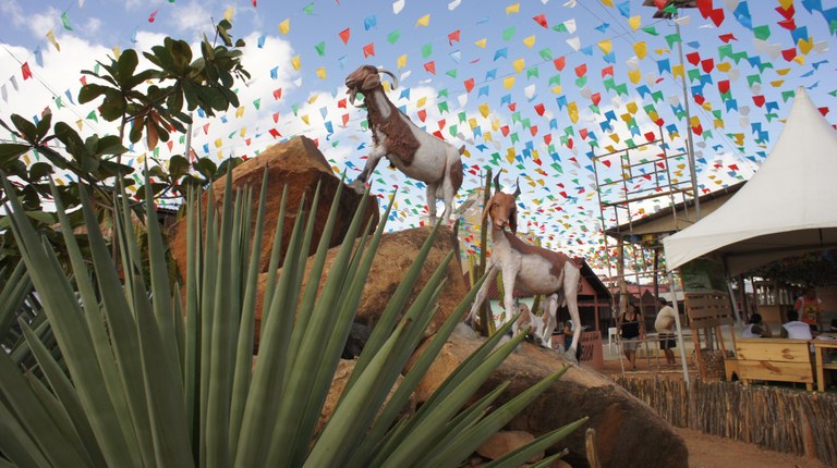 Cabaceiras (Foto Teresa Duarte).JPG