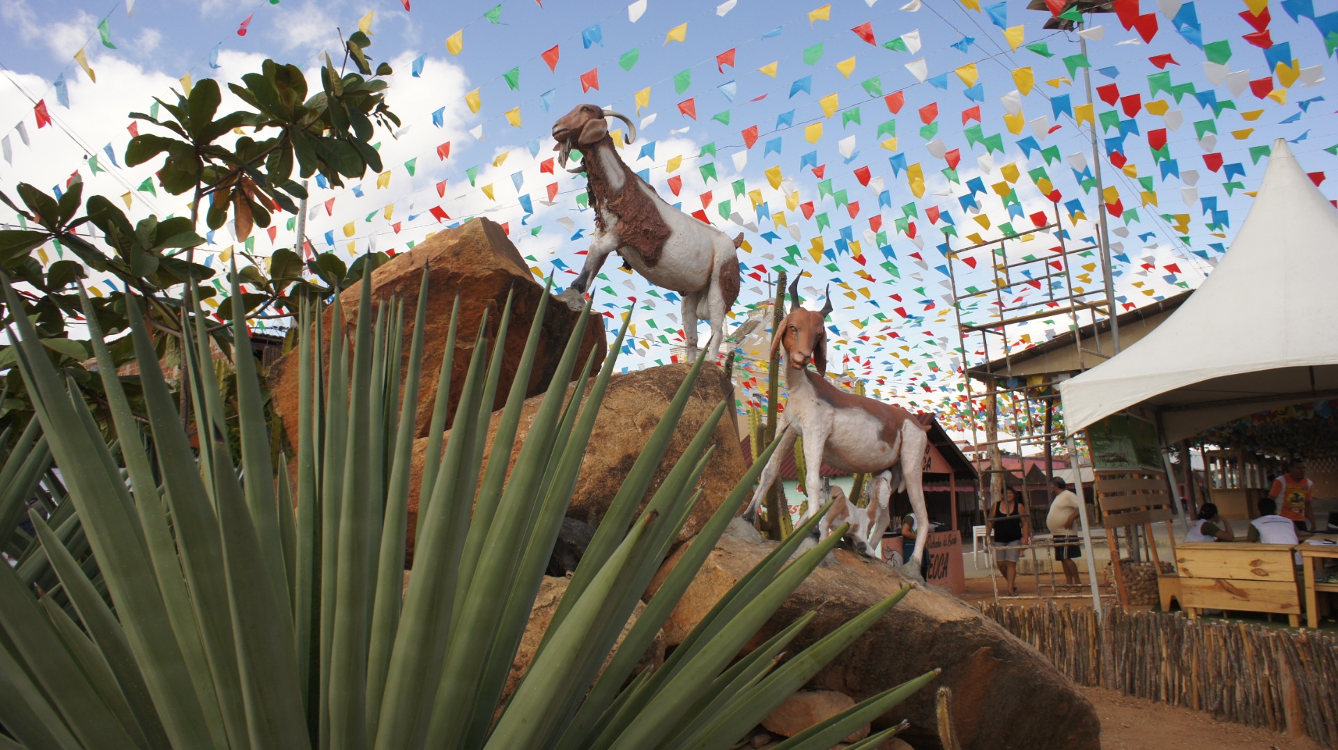 Cabaceiras (Foto Teresa Duarte).JPG