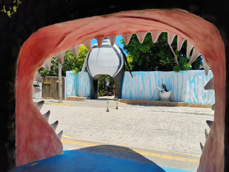 João Pessoa I (Foto Teresa Duarte).jpg