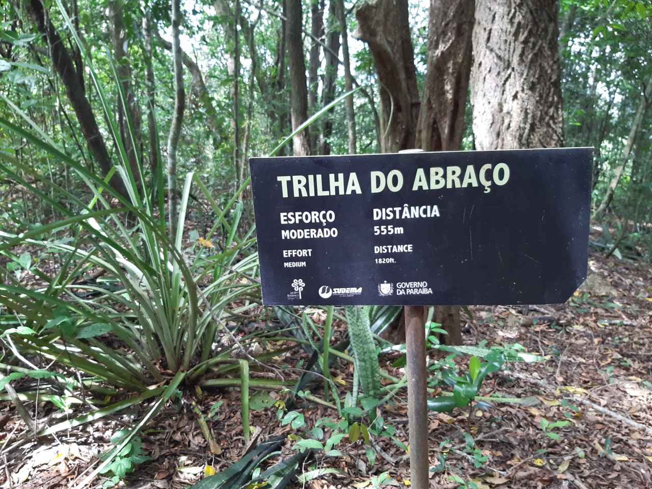 João Pessoa I (Foto Teresa Duarte).jpg
