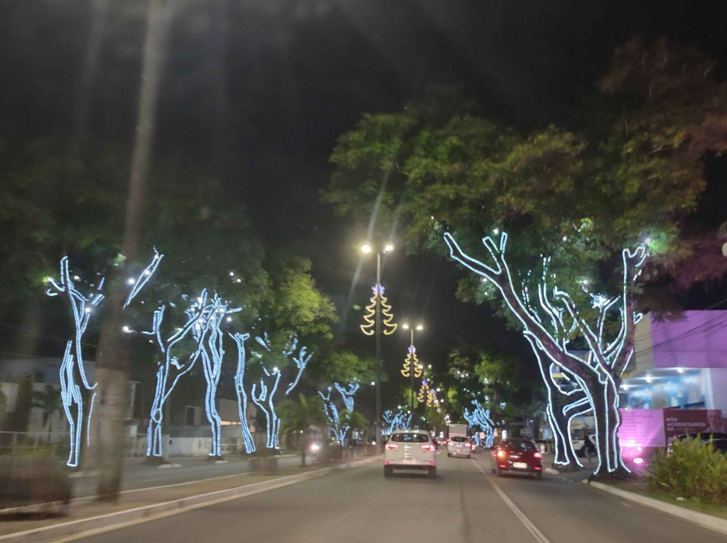 João Pessoa (Foto Teresa Duarte).jpg