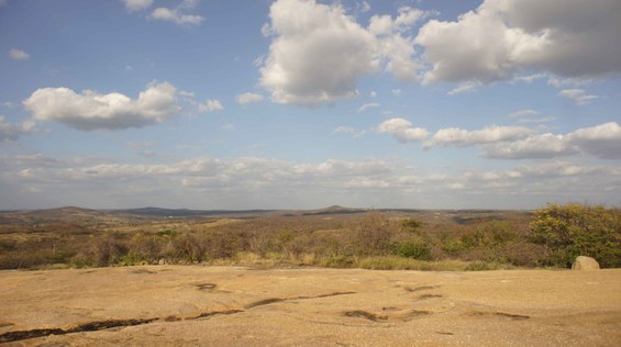 Rota-Turística-Cultural-Caminhos-da-Caatinga-(Foto-Teresa-Duarte).jpg