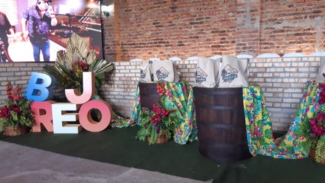 Raízes do Brejo (Foto Teresa Duarte).jpg