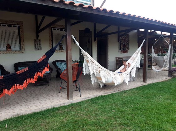 Araruna-(Foto-Teresa-Duarte).jpg