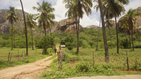 Araruna (Foto Teresa Duarte).JPG