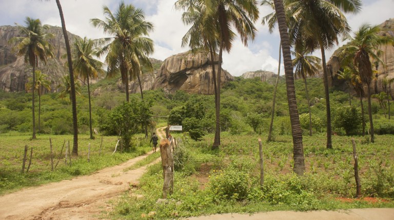 Araruna (Foto Teresa Duarte).JPG