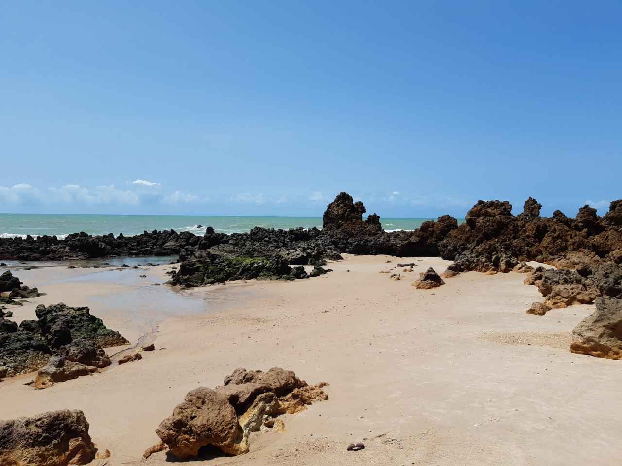 Preamar-PB (Foto Teresa Duarte).jpg