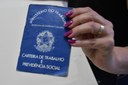 2024.05.16_carteira de trabalho © roberto guedes (4).JPG