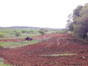 Plantio-Foto-Secom-PB.jpg