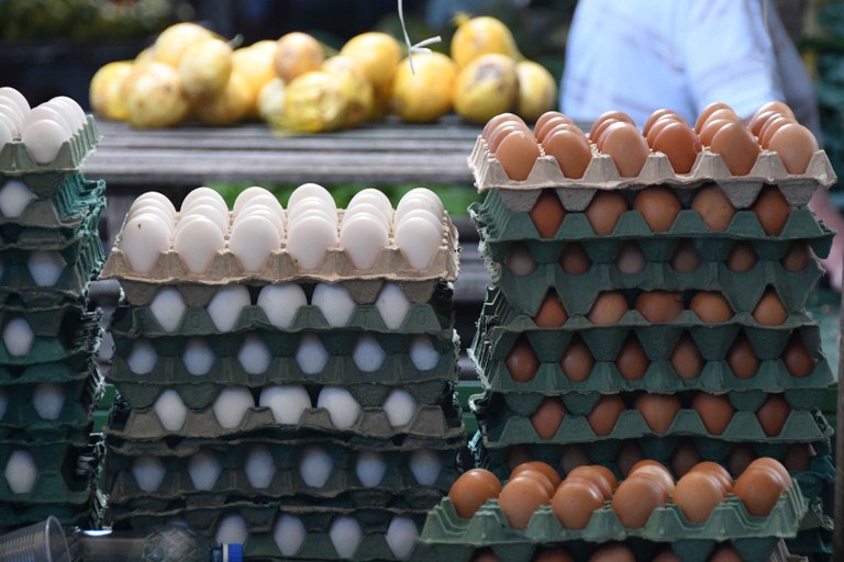 ovos © Carlos Rodrigo_Arquivo A União.JPG