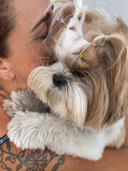 Tchocco, um cachorro de seis anos da raça Shih Tzu | Foto: Arquivo pessoal