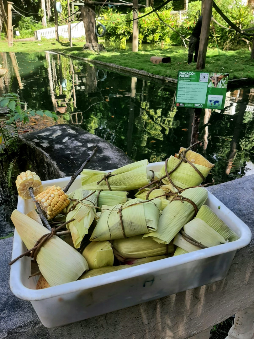 SJ na Bica - Assessoria da Bica (7).png