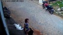 menina-bananeiras.jpg