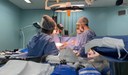 Transplante_Secom-PB.jpg