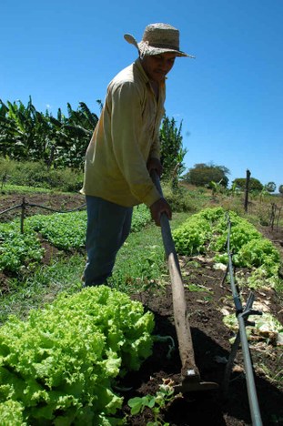 Agricultura -24-08-07 -[MR]-11.jpg