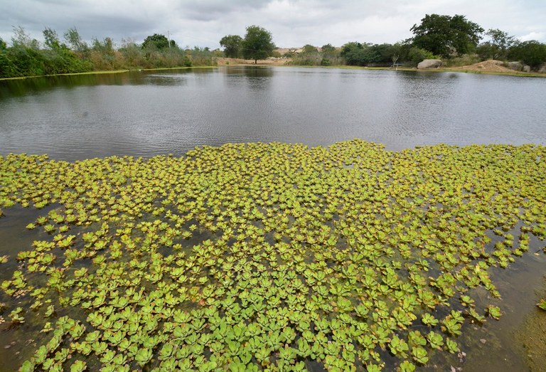 2020.07.19_apa do cariri_fazenda salambaia © roberto guedes (112).JPG