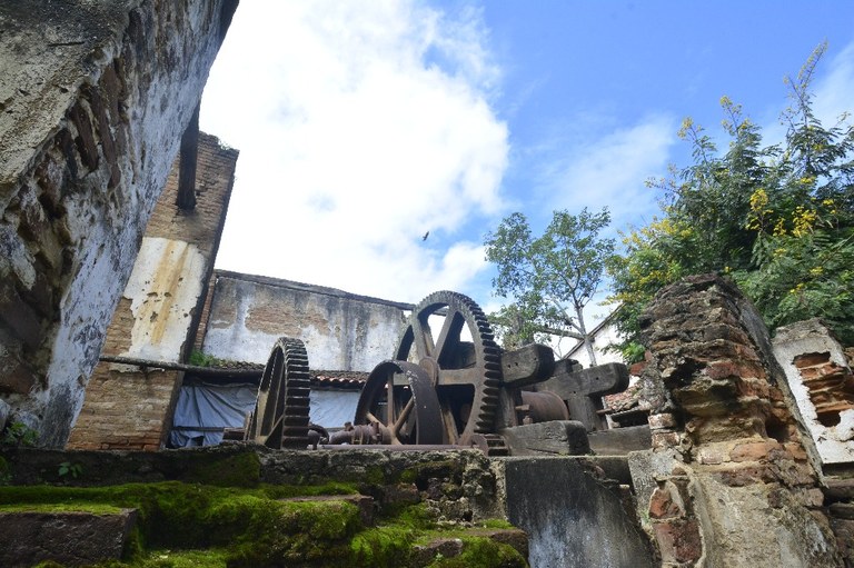 2021.05.13_sao miguel taipu_engenho novo © roberto guedes (29).JPG