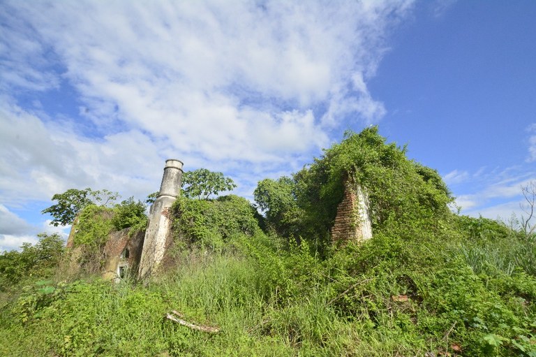 2021.05.13_sao miguel taipu_itapua © roberto guedes (22).JPG 2021.05.13_sao miguel taipu_itapua © roberto guedes (22).JPG