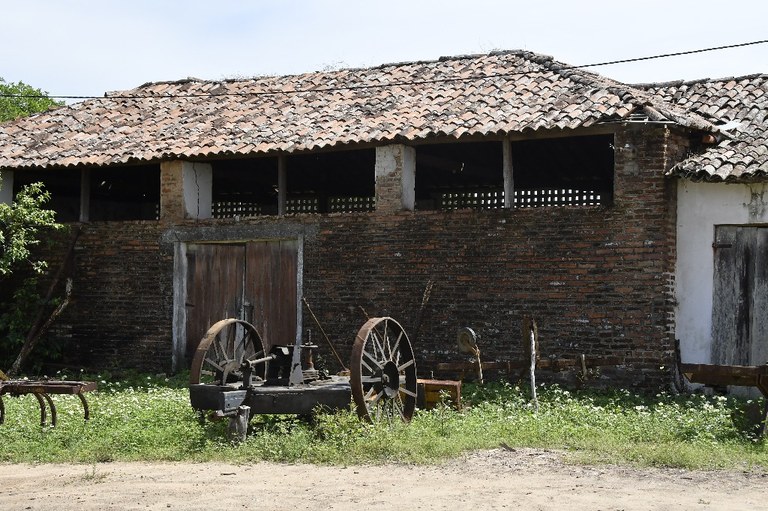 2021.05.13_sao miguel taipu_oiteiro © roberto guedes (8).JPG
