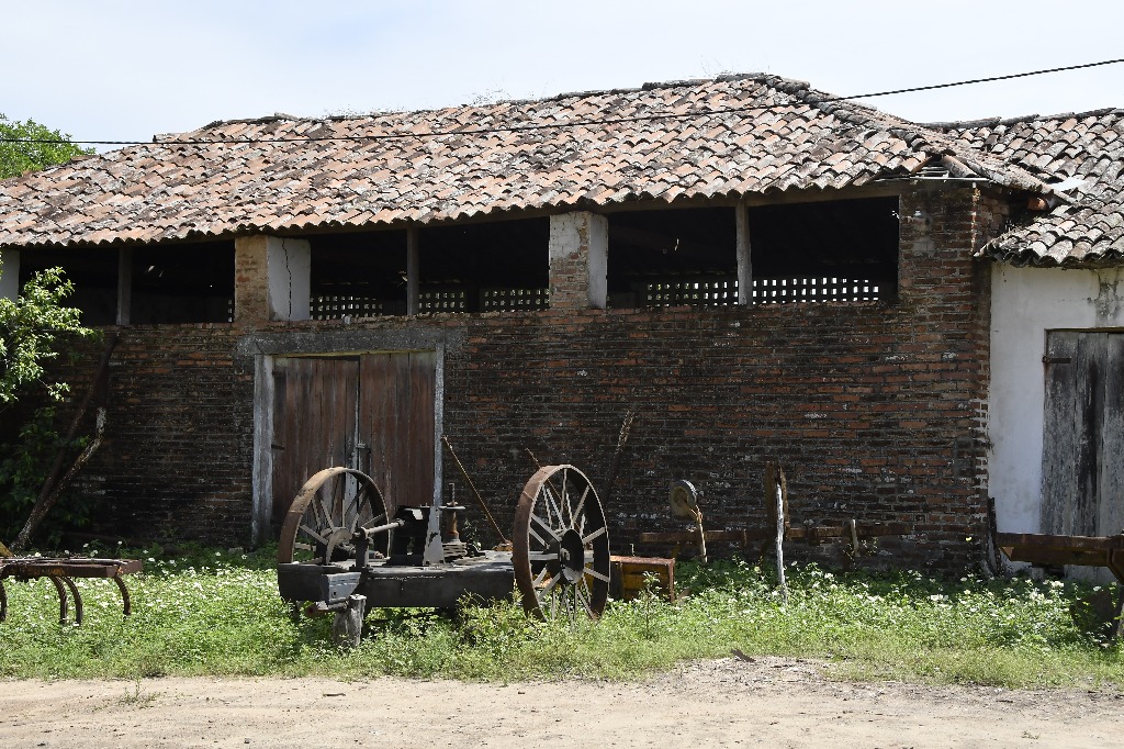 2021.05.13_sao miguel taipu_oiteiro © roberto guedes (8).JPG