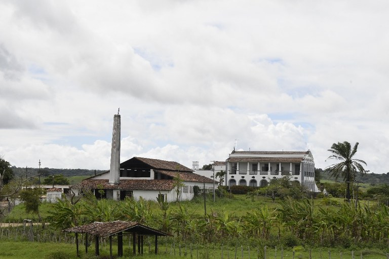 2021.05.13_sao miguel taipu_oiteiro © roberto guedes (81).JPG