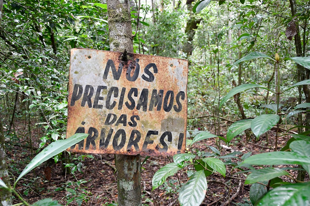 20200915_parque estadual mata do pau ferro © roberto guedes (5).JPG