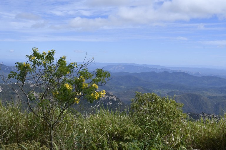 20200716_pico do jabre ©roberto guedes (41).JPG 20200716_pico do jabre ©roberto guedes (41).JPG