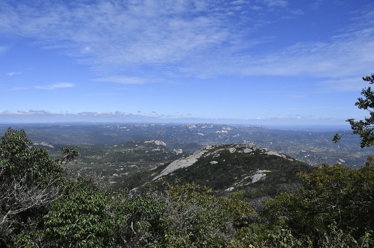 20200716_pico do jabre ©roberto guedes (42).JPG