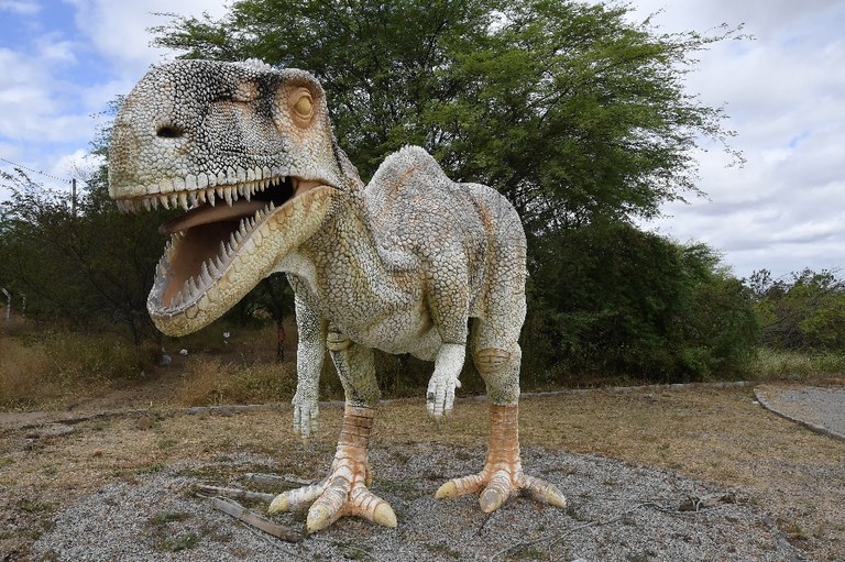 2020.07.27_ monumento natural vale dos dinossauros © roberto guedes (1).JPG