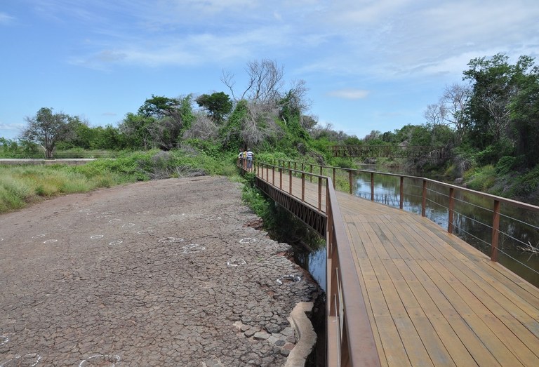 2020.07.27_ monumento natural vale dos dinossauros © roberto guedes (18).JPG